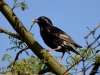 Filename=037_fotowilga~74.JPG
Filesize=290KB
Dimensions=700x525
Date added=Apr 01, 2019 037_fotowilga~74.JPG
