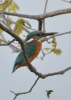 Filename=037_fotowilga~81.JPG
Filesize=222KB
Dimensions=499x700
Date added=Oct 29, 2019 037_fotowilga~81.JPG
