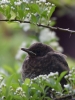 Filename=038_fotowilga~51.JPG
Filesize=261KB
Dimensions=525x700
Date added=Oct 25, 2018 038_fotowilga~51.JPG