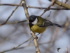 Filename=038_fotowilga~60.JPG
Filesize=221KB
Dimensions=700x525
Date added=Jul 17, 2019 038_fotowilga~60.JPG
