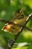Filename=0391_fotowilga~14.JPG
Filesize=70KB
Dimensions=320x480
Date added=May 28, 2016 0391_fotowilga~14.JPG