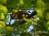 Filename=039_fotowilga~26.JPG
Filesize=84KB
Dimensions=640x476
Date added=May 11, 2016 039_fotowilga~26.JPG
