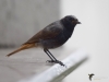 Filename=039_fotowilga~50.JPG
Filesize=173KB
Dimensions=700x525
Date added=Aug 05, 2018 039_fotowilga~50.JPG
