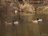 Filename=039_fotowilga~54.JPG
Filesize=329KB
Dimensions=700x525
Date added=Jan 23, 2019 039_fotowilga~54.JPG