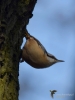 Filename=0403_fotowilga~27.JPG
Filesize=203KB
Dimensions=525x700
Date added=Feb 08, 2018 0403_fotowilga~27.JPG