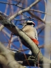 Filename=0406_fotowilga.JPG
Filesize=287KB
Dimensions=525x700
Date added=May 17, 2019 0406_fotowilga.JPG