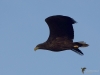 Filename=0409_fotowilga~25.JPG
Filesize=217KB
Dimensions=700x525
Date added=Nov 09, 2019 0409_fotowilga~25.JPG