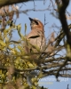 Filename=040_fotowilga~22.JPG
Filesize=91KB
Dimensions=384x480
Date added=Apr 05, 2016 040_fotowilga~22.JPG