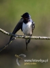 Filename=040_fotowilga~29.JPG
Filesize=45KB
Dimensions=356x480
Date added=Aug 10, 2016 040_fotowilga~29.JPG