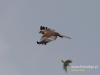 Filename=040_fotowilga~30.JPG
Filesize=46KB
Dimensions=640x480
Date added=Oct 28, 2016 040_fotowilga~30.JPG
