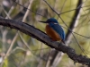 Filename=040_fotowilga~51.JPG
Filesize=272KB
Dimensions=700x525
Date added=Dec 08, 2017 040_fotowilga~51.JPG