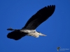 Filename=040_fotowilga~53.JPG
Filesize=178KB
Dimensions=700x525
Date added=Feb 23, 2018 040_fotowilga~53.JPG