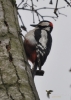 Filename=040_fotowilga~54.JPG
Filesize=205KB
Dimensions=499x700
Date added=Feb 26, 2018 040_fotowilga~54.JPG