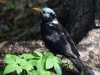 Filename=040_fotowilga~62.JPG
Filesize=269KB
Dimensions=700x525
Date added=Mar 06, 2019 040_fotowilga~62.JPG