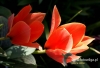 Filename=041_fotowilga~27.JPG
Filesize=81KB
Dimensions=640x436
Date added=Mar 09, 2017 041_fotowilga~27.JPG