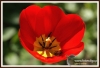 Filename=041_fotowilga~3.JPG
Filesize=106KB
Dimensions=720x493
Date added=Feb 04, 2013 041_fotowilga~3.JPG