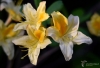 Filename=041_fotowilga~42.JPG
Filesize=192KB
Dimensions=700x479
Date added=Feb 03, 2019 041_fotowilga~42.JPG