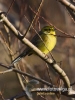 Filename=0423_fotowilga~26.JPG
Filesize=61KB
Dimensions=360x480
Date added=Dec 08, 2017 0423_fotowilga~26.JPG