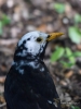 Filename=042_fotowilga~18.JPG
Filesize=244KB
Dimensions=525x700
Date added=Oct 29, 2018 042_fotowilga~18.JPG