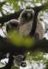 Filename=042_fotowilga~27.JPG
Filesize=77KB
Dimensions=339x480
Date added=Jul 16, 2016 042_fotowilga~27.JPG