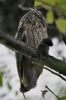 Filename=042_fotowilga~37.JPG
Filesize=233KB
Dimensions=466x700
Date added=Jun 08, 2017 042_fotowilga~37.JPG