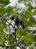 Filename=042_fotowilga~47.JPG
Filesize=272KB
Dimensions=519x700
Date added=Mar 25, 2018 042_fotowilga~47.JPG