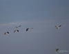 042_fotowilga~57.JPG