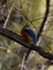 Filename=043_fotowilga~48.JPG
Filesize=262KB
Dimensions=525x700
Date added=Dec 02, 2017 043_fotowilga~48.JPG