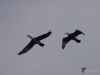 Filename=043_fotowilga~52.JPG
Filesize=141KB
Dimensions=700x525
Date added=Feb 23, 2018 043_fotowilga~52.JPG