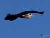 Filename=043_fotowilga~53.JPG
Filesize=165KB
Dimensions=700x525
Date added=Mar 05, 2018 043_fotowilga~53.JPG