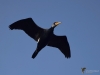 Filename=043_fotowilga~61.JPG
Filesize=180KB
Dimensions=700x525
Date added=Mar 12, 2019 043_fotowilga~61.JPG