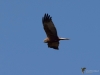 Filename=043_fotowilga~63.JPG
Filesize=158KB
Dimensions=700x525
Date added=Apr 01, 2019 043_fotowilga~63.JPG