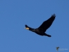 Filename=0446_fotowilga.JPG
Filesize=203KB
Dimensions=700x525
Date added=May 17, 2019 0446_fotowilga.JPG