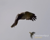 Filename=0446_fotowilga~12.JPG
Filesize=37KB
Dimensions=600x480
Date added=Jun 17, 2016 0446_fotowilga~12.JPG
