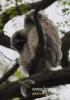 Filename=044_fotowilga~19.JPG
Filesize=78KB
Dimensions=339x480
Date added=Nov 24, 2015 044_fotowilga~19.JPG