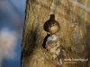 Filename=044_fotowilga~35.JPG
Filesize=119KB
Dimensions=640x480
Date added=Mar 14, 2017 044_fotowilga~35.JPG