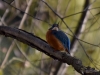 Filename=044_fotowilga~43.JPG
Filesize=258KB
Dimensions=700x525
Date added=Dec 14, 2017 044_fotowilga~43.JPG