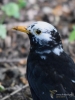 Filename=044_fotowilga~48.JPG
Filesize=248KB
Dimensions=525x700
Date added=May 01, 2018 044_fotowilga~48.JPG