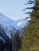 Filename=044_fotowilga~54.JPG
Filesize=338KB
Dimensions=538x700
Date added=Jan 18, 2019 044_fotowilga~54.JPG