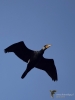 Filename=044_fotowilga~56.JPG
Filesize=167KB
Dimensions=525x700
Date added=Mar 16, 2019 044_fotowilga~56.JPG
