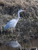 Filename=0454_fotowilga~16.JPG
Filesize=426KB
Dimensions=525x700
Date added=Jan 06, 2019 0454_fotowilga~16.JPG