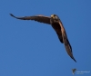 Filename=045_fotowilga~41.JPG
Filesize=222KB
Dimensions=700x592
Date added=May 03, 2017 045_fotowilga~41.JPG