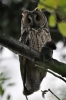 Filename=045_fotowilga~44.JPG
Filesize=224KB
Dimensions=466x700
Date added=Jun 16, 2017 045_fotowilga~44.JPG