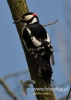 Filename=0461_fotowilga~6.JPG
Filesize=69KB
Dimensions=343x480
Date added=Jun 29, 2015 0461_fotowilga~6.JPG