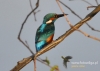 Filename=046_fotowilga~18.JPG
Filesize=84KB
Dimensions=640x457
Date added=Nov 12, 2015 046_fotowilga~18.JPG