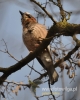 Filename=046_fotowilga~22.JPG
Filesize=85KB
Dimensions=384x480
Date added=Apr 05, 2016 046_fotowilga~22.JPG