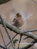 Filename=046_fotowilga~38.JPG
Filesize=51KB
Dimensions=360x480
Date added=Jan 07, 2017 046_fotowilga~38.JPG