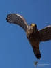 Filename=046_fotowilga~43.JPG
Filesize=214KB
Dimensions=525x700
Date added=May 03, 2017 046_fotowilga~43.JPG