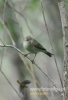Filename=046_fotowilga~45.JPG
Filesize=67KB
Dimensions=328x480
Date added=Jun 25, 2017 046_fotowilga~45.JPG