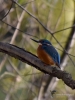 Filename=046_fotowilga~53.JPG
Filesize=263KB
Dimensions=525x700
Date added=Jan 04, 2018 046_fotowilga~53.JPG
